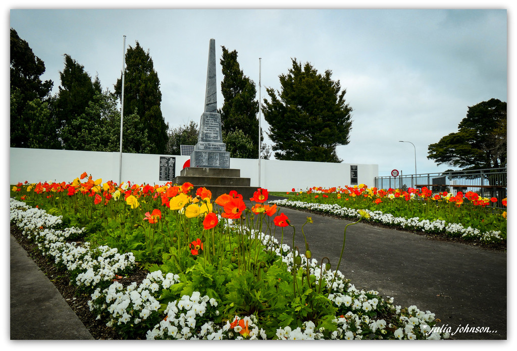 Poppies at the Cenotaph.. by julzmaioro