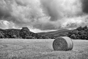10th Sep 2019 - A solitary hay bale
