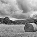 A solitary hay bale by jamibann