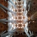 Sagrada Familia,  Barcelona  by g3xbm