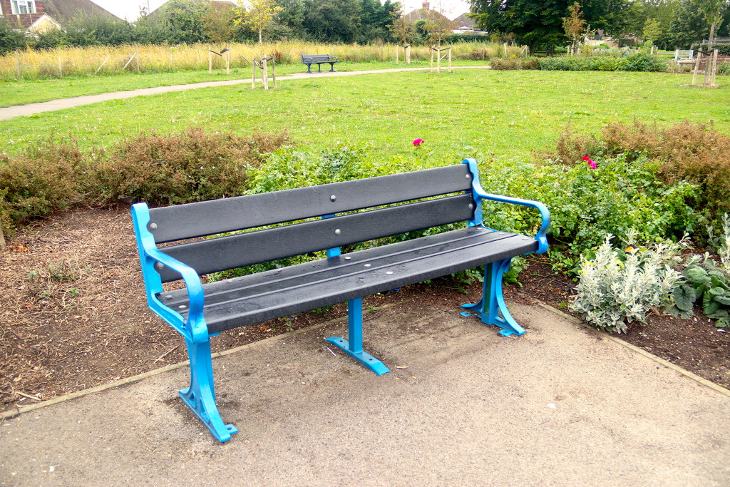 Blue Bench Thursday by davemockford
