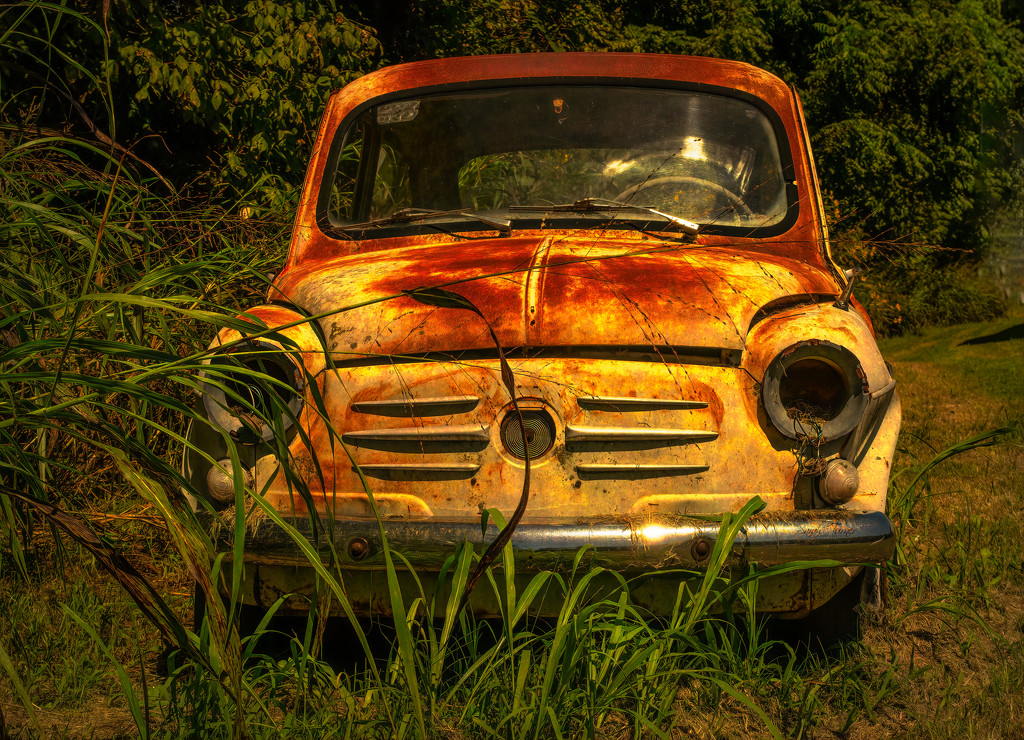 Just needs a little TLC—  Perhaps some new headlights and ... by samae