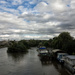 The Thames at Richmond by rumpelstiltskin