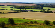 16th Aug 2019 - oxxfordshire farmlands