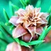 Baby pine cone by kdrinkie