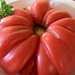 The largest tomato from our garden  by bruni