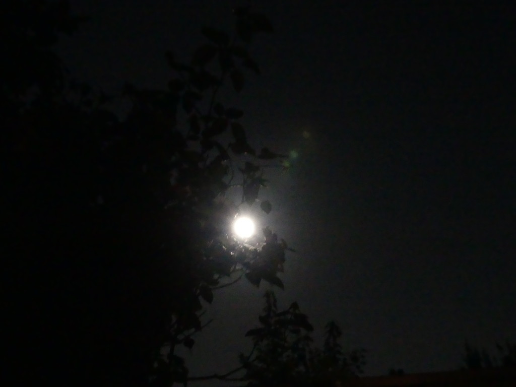 Full Moon by ideetje
