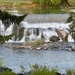 Idaho Falls by kjarn