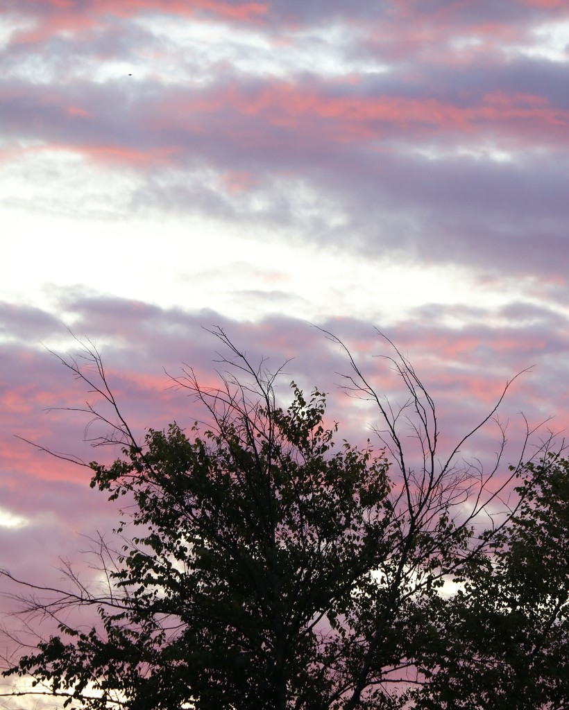 September 15: Sunrise by daisymiller