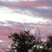 September 15: Sunrise by daisymiller
