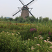 Windmill by ingrid01