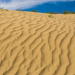 Great Sand Hills by mgmurray