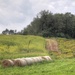 Bales in the field by mittens