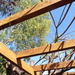 Painting the pergola by speedwell