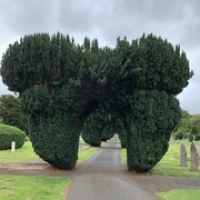 16th Sep 2019 - Hay on Wye cemetery 