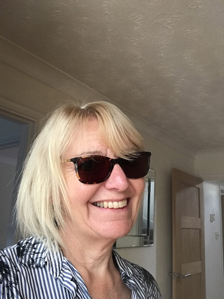  New Sunnies by elainepenney