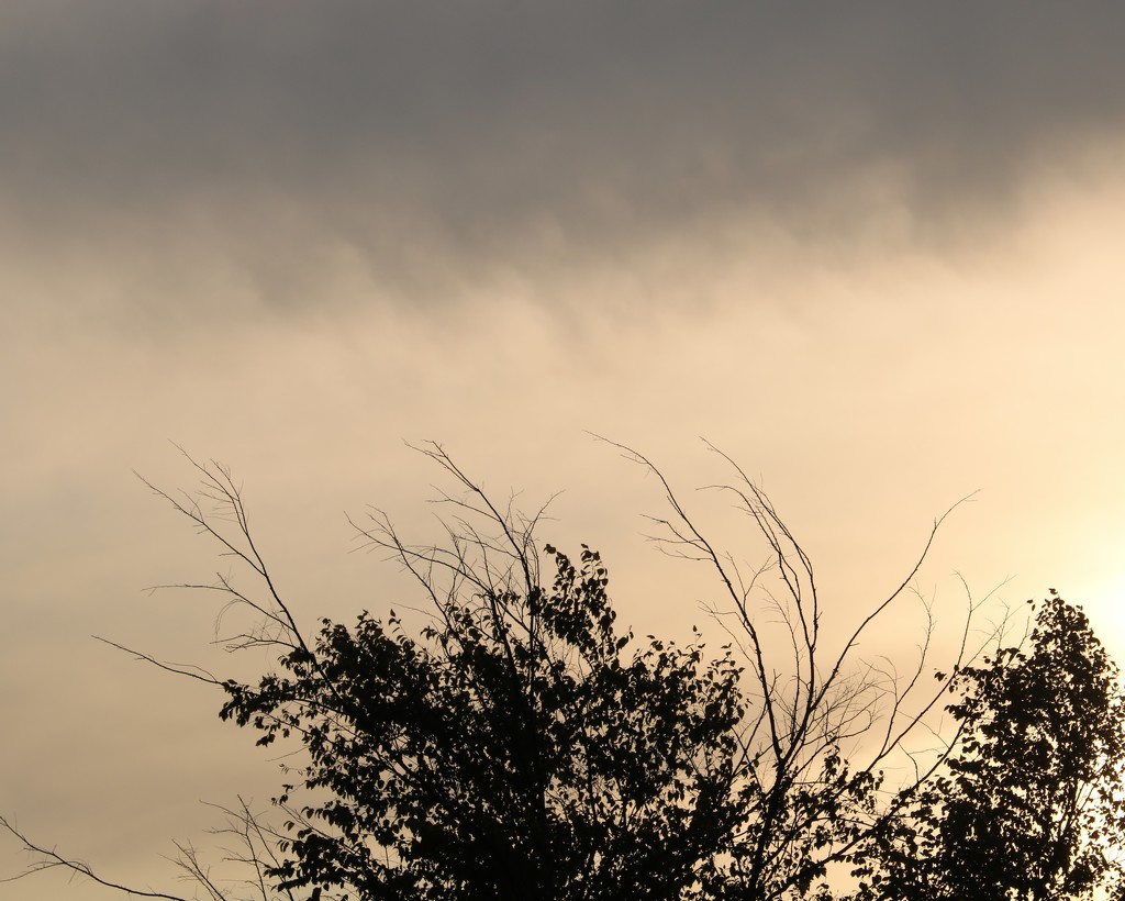 September 16: Sunrise by daisymiller