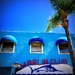 The Marlin Club by gardenfolk
