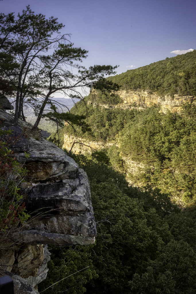 Cloudland Canyon Overlook 2 View by kvphoto