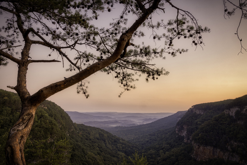 Cloudland Canyon Sunrise by kvphoto