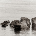 Rocks near the beach by frequentframes