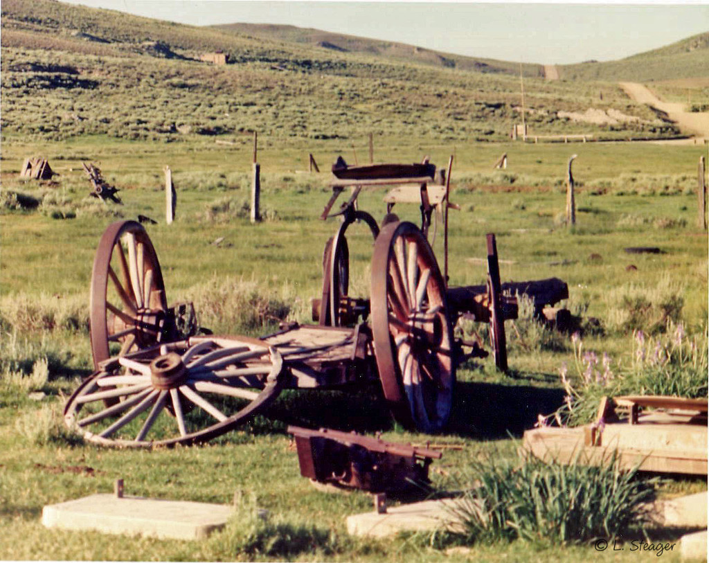 Old Wagon  by larrysphotos