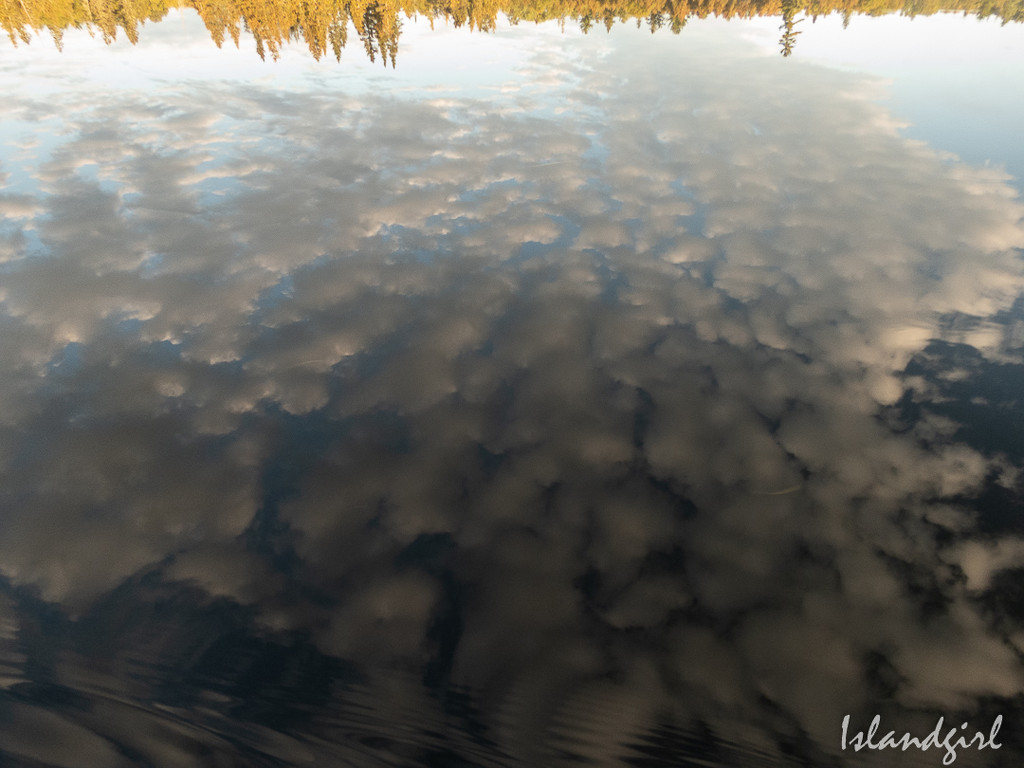 Reflections by radiogirl