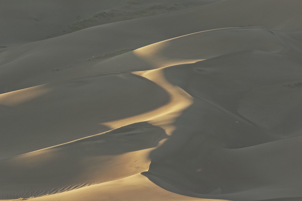 LHG_2065 sand dunes softness by rontu