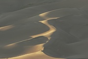 12th Sep 2019 - LHG_2065 sand dunes softness