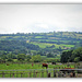 The  Welsh country side  by beryl