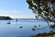 9th Sep 2019 - St Mawes