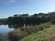 17th Sep 2019 - Evening Walk Around The Reservoir 