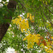 Fall (autumn) is near. by larrysphotos