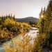 Koyakuk River by dridsdale