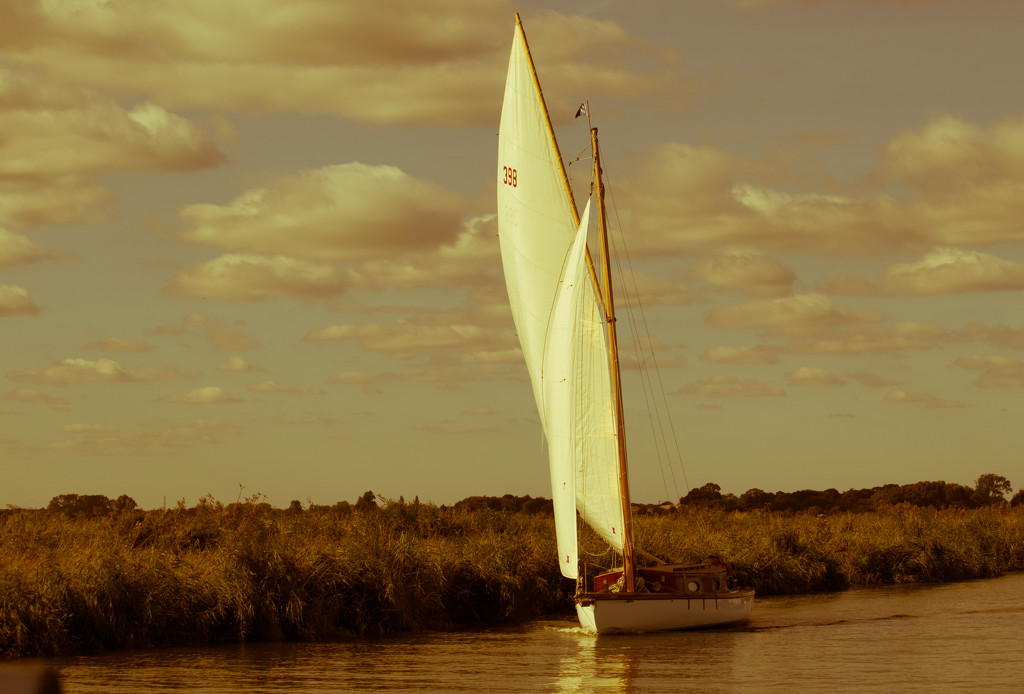 Yachting at Thurne by peadar