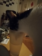 5th Sep 2019 - Drinking my water