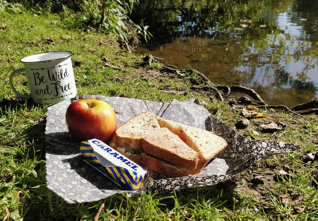 A quick outdoor lunch by roachling