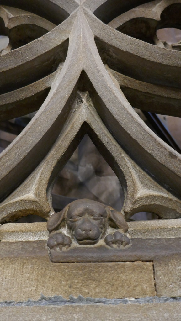 Strasbourg Cathedral: the Abbot's dog by swagman