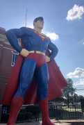 17th Sep 2019 - Wish I Could Fly Like Superman...