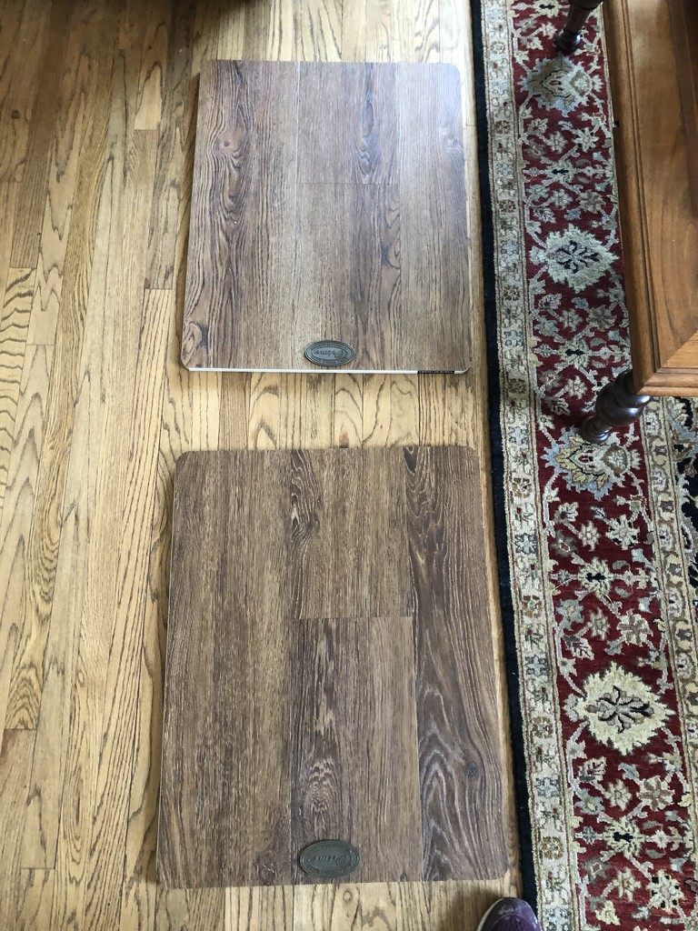 Choosing a floor by loweygrace