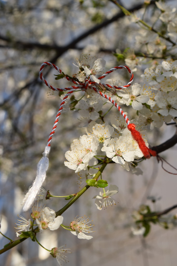 Martisor by ctst
