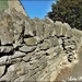 A Pregnant Cotswold Stone Wall by ladymagpie