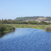 River Parrett in Langport by julienne1