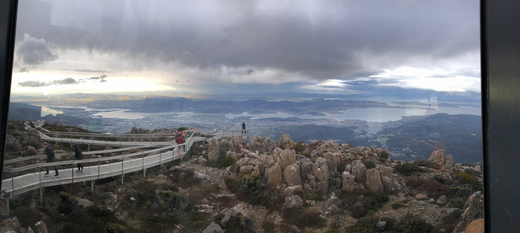 Mt Wellington  by pusspup