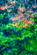 20th Sep 2019 - Abstract Water Reflections
