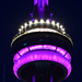 the CN tower at night by summerfield