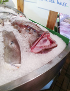 8th Jun 2019 - Fish Market