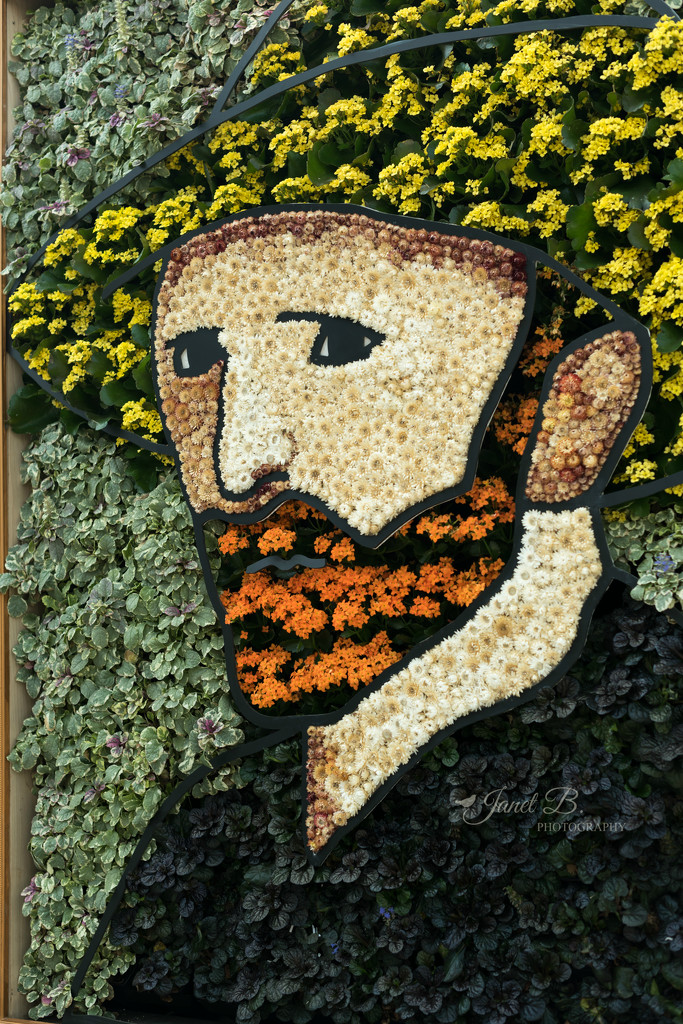 Van Gogh by janetb