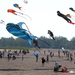 Kite Flying - Lake Ontario by bruni