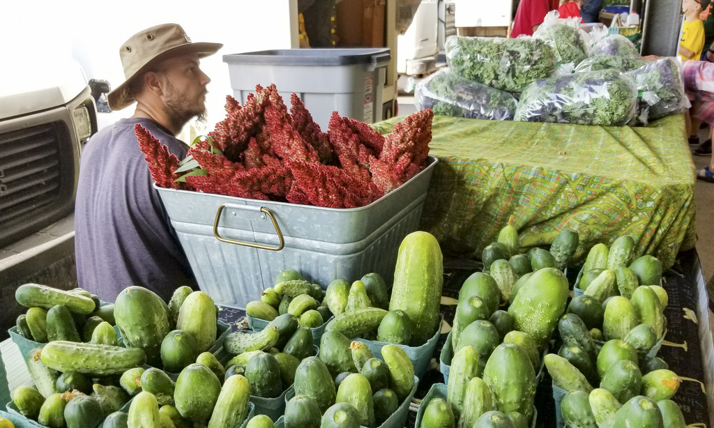 Sumac at the Farmer's Market by houser934